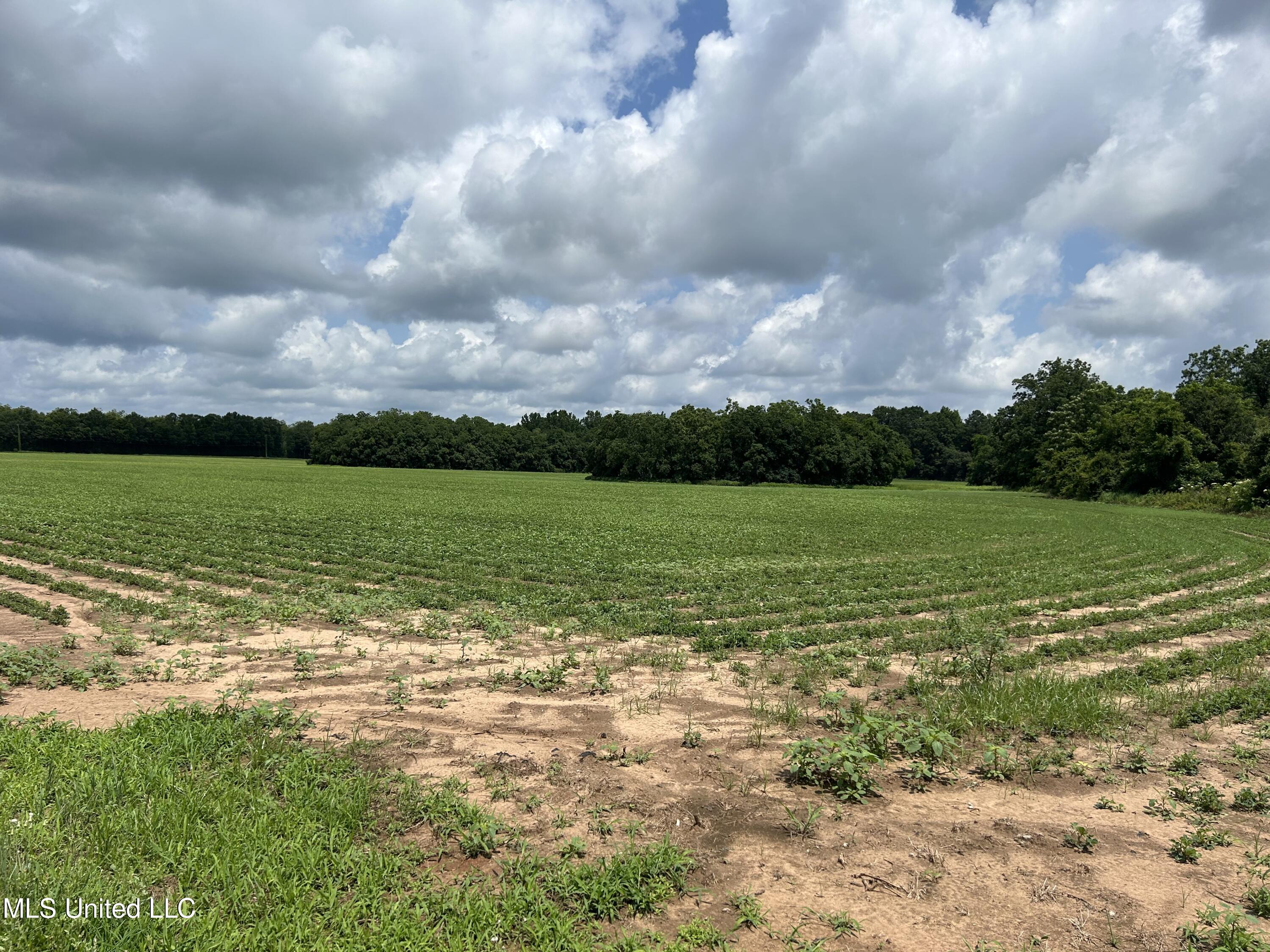 28 Acres Harmon Pope Road, Lucedale, Mississippi image 1