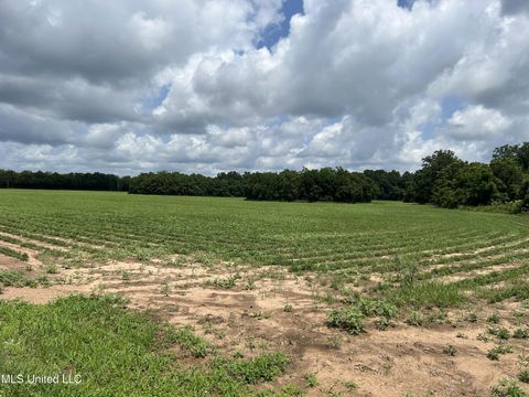 Vacant Land For Sale - 28 ACRES Harmon Pope Road<br/> Lucedale, MS 39452