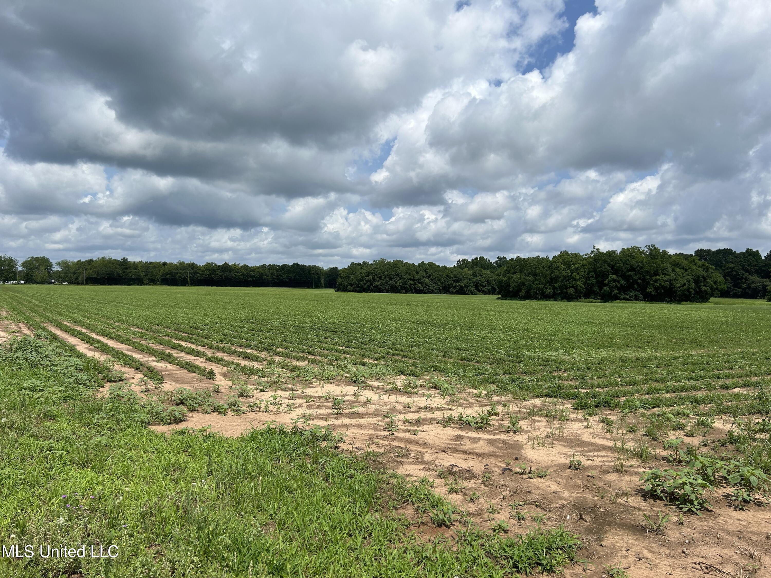 28 Acres Harmon Pope Road, Lucedale, Mississippi image 2