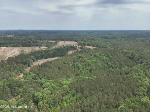 Vacant Land For Sale - Smith County Rd 559<br/> Smith County, Pulaski, MS 39152