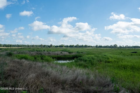 Vacant Land For Sale - Ms-448<br/> Indianola, MS 38749