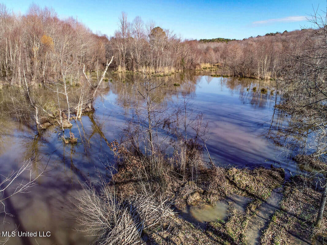 3114 212 Country Road, Water Valley, Mississippi image 31
