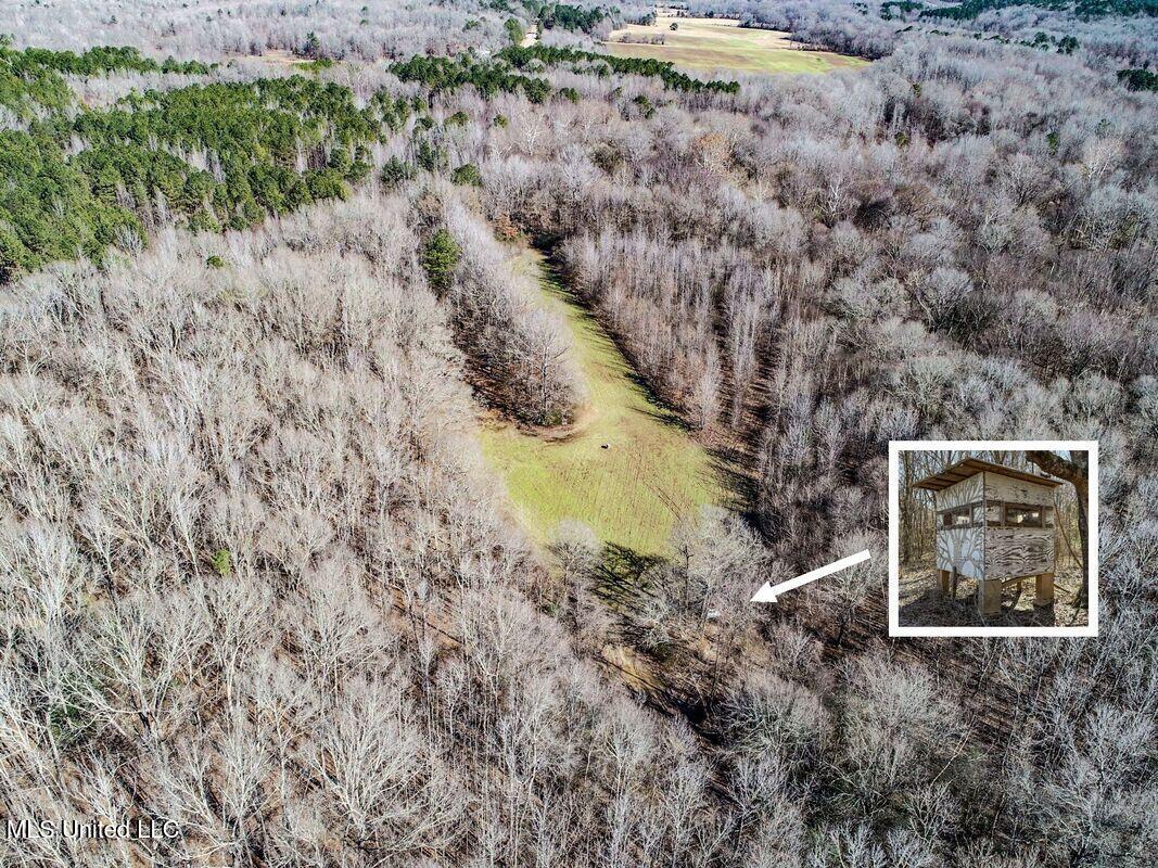 3114 212 Country Road, Water Valley, Mississippi image 20