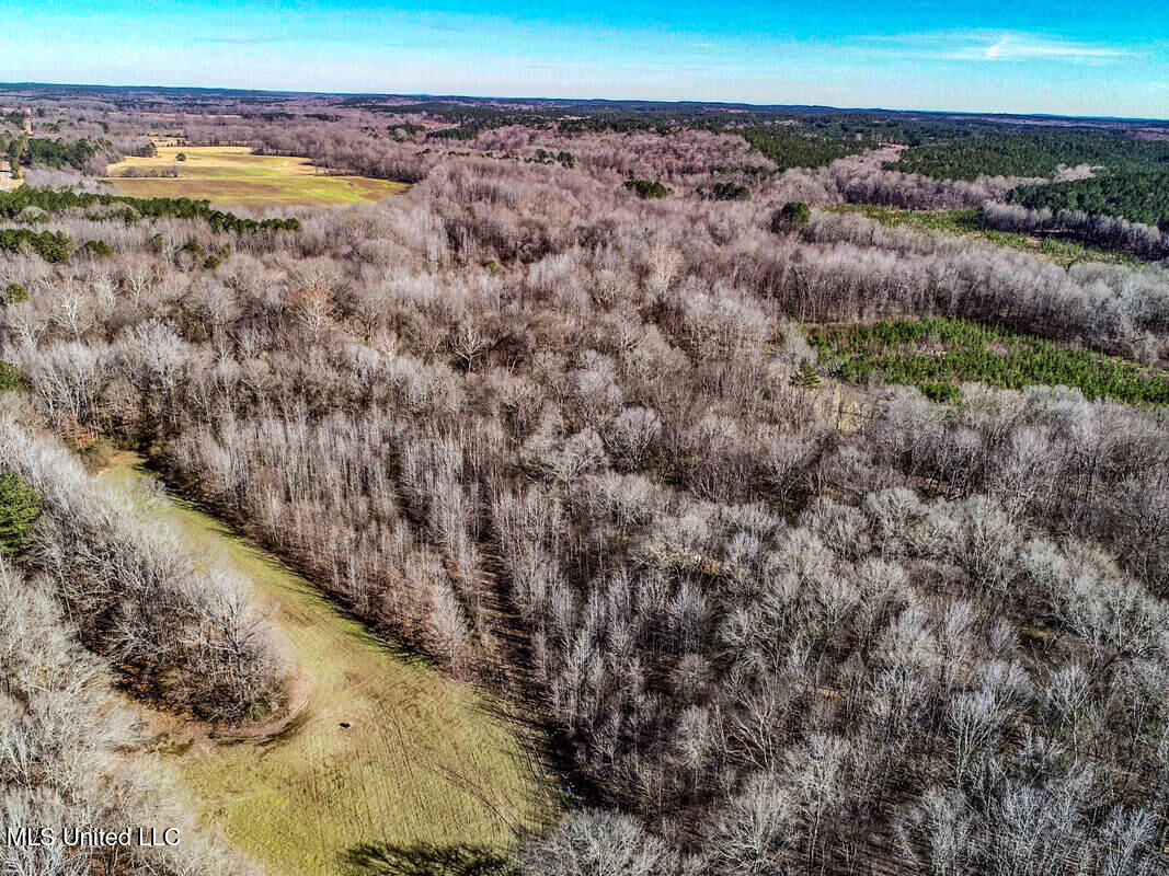 3114 212 Country Road, Water Valley, Mississippi image 21