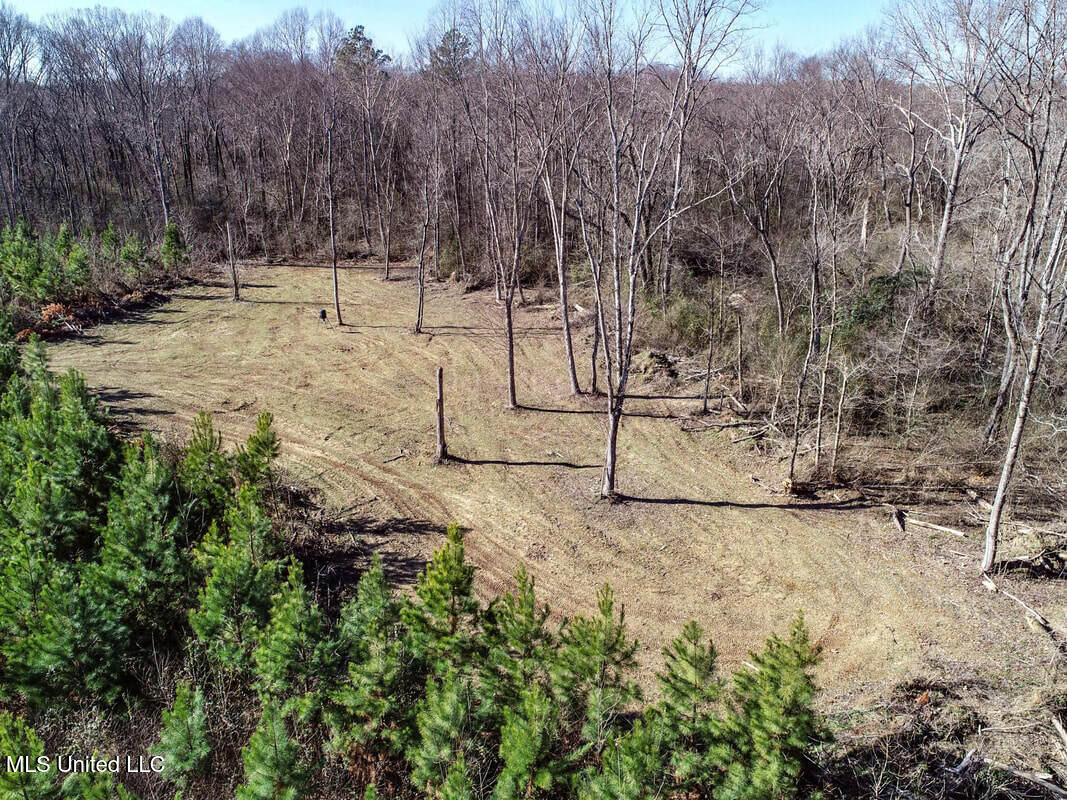 3114 212 Country Road, Water Valley, Mississippi image 24