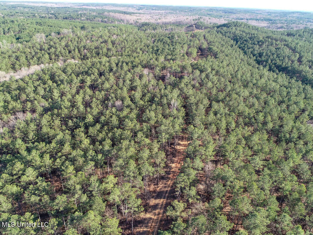 3114 212 Country Road, Water Valley, Mississippi image 13