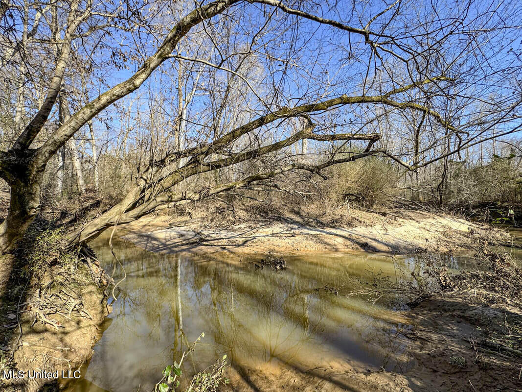 3114 212 Country Road, Water Valley, Mississippi image 38
