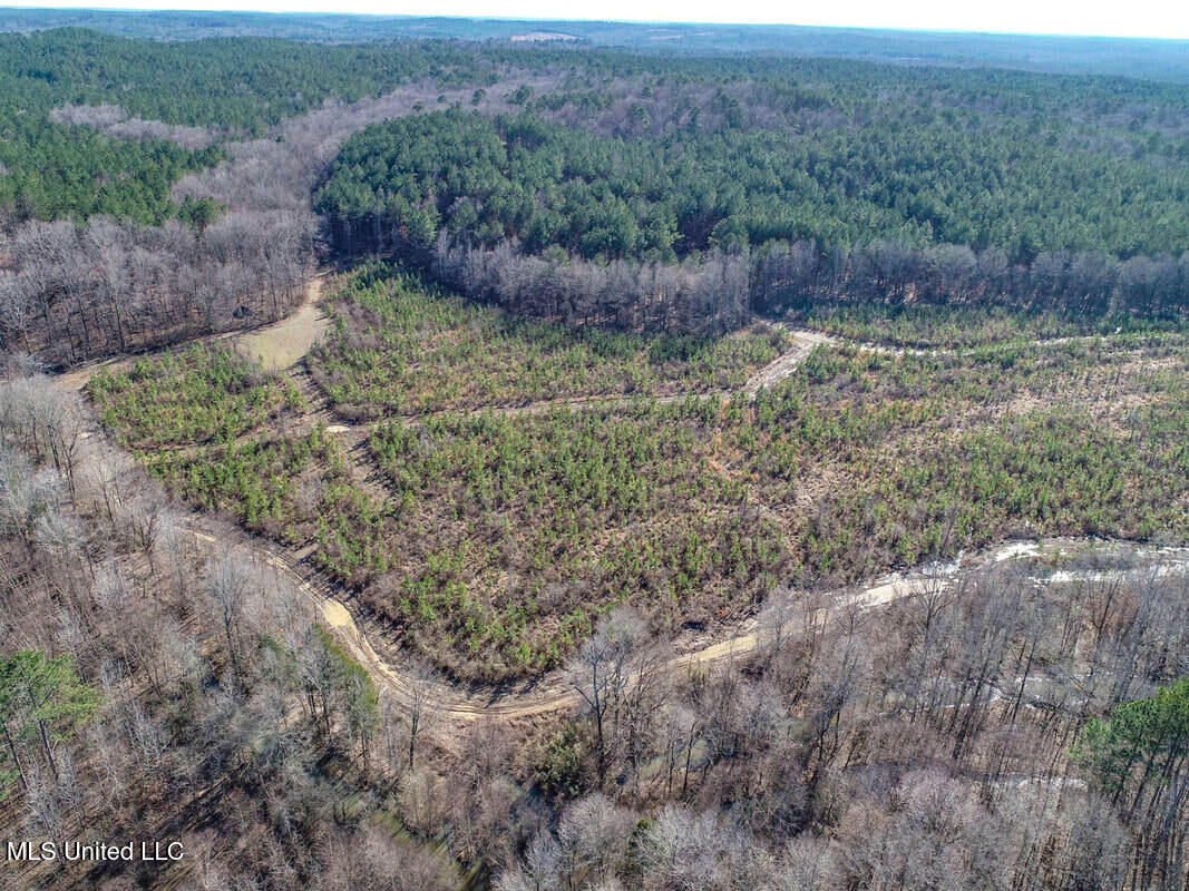 3114 212 Country Road, Water Valley, Mississippi image 27
