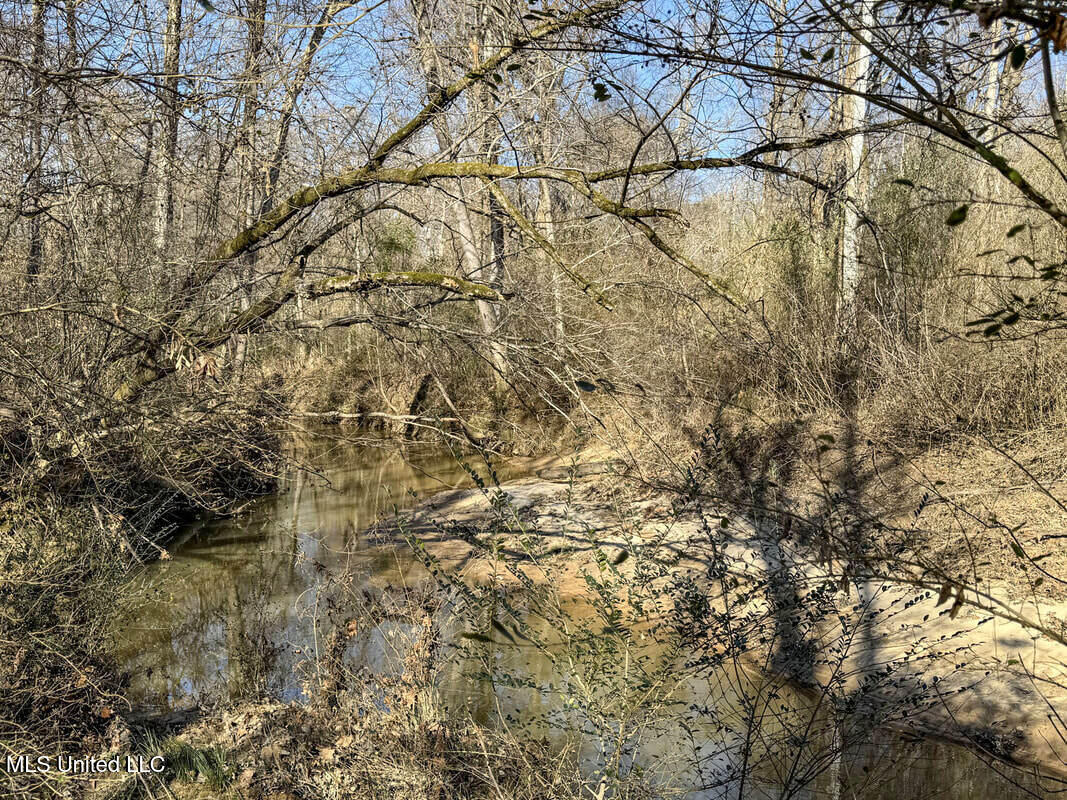 3114 212 Country Road, Water Valley, Mississippi image 37