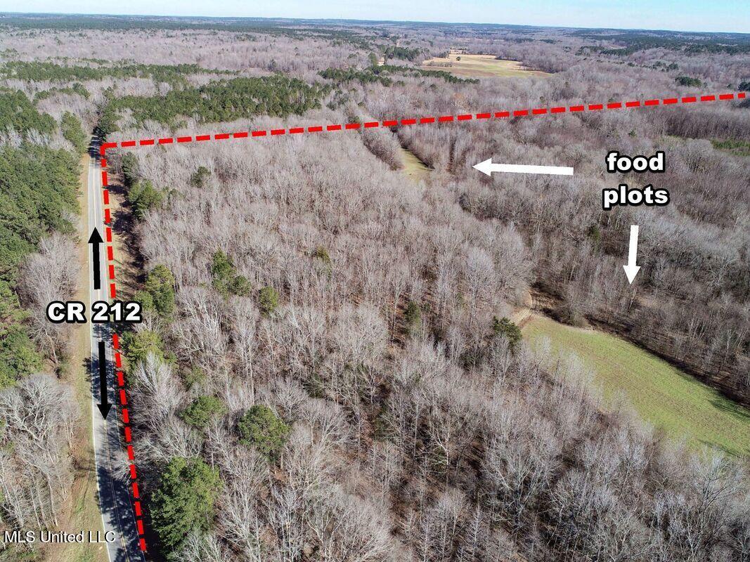3114 212 Country Road, Water Valley, Mississippi image 19