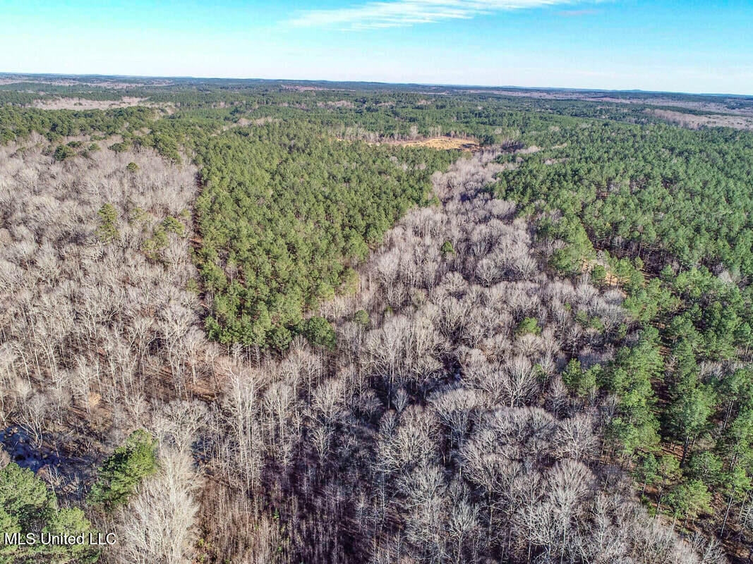 3114 212 Country Road, Water Valley, Mississippi image 33