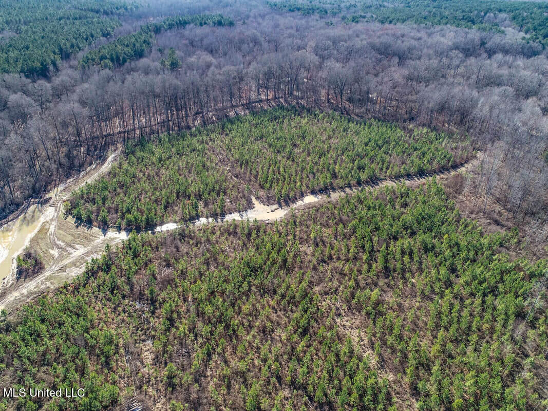 3114 212 Country Road, Water Valley, Mississippi image 22