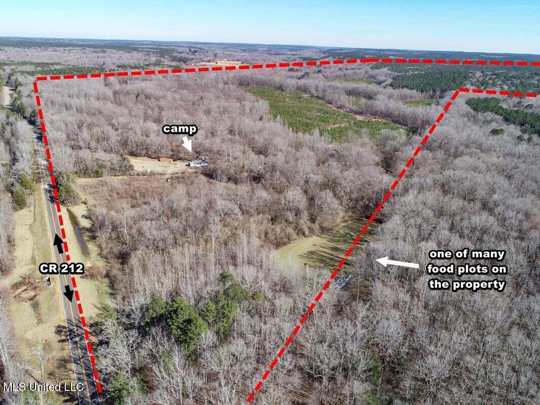 3114 212 Country Road, Water Valley, Mississippi image 7