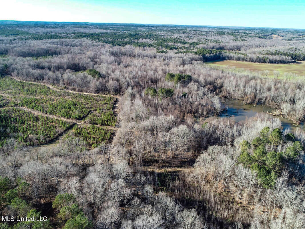 3114 212 Country Road, Water Valley, Mississippi image 32