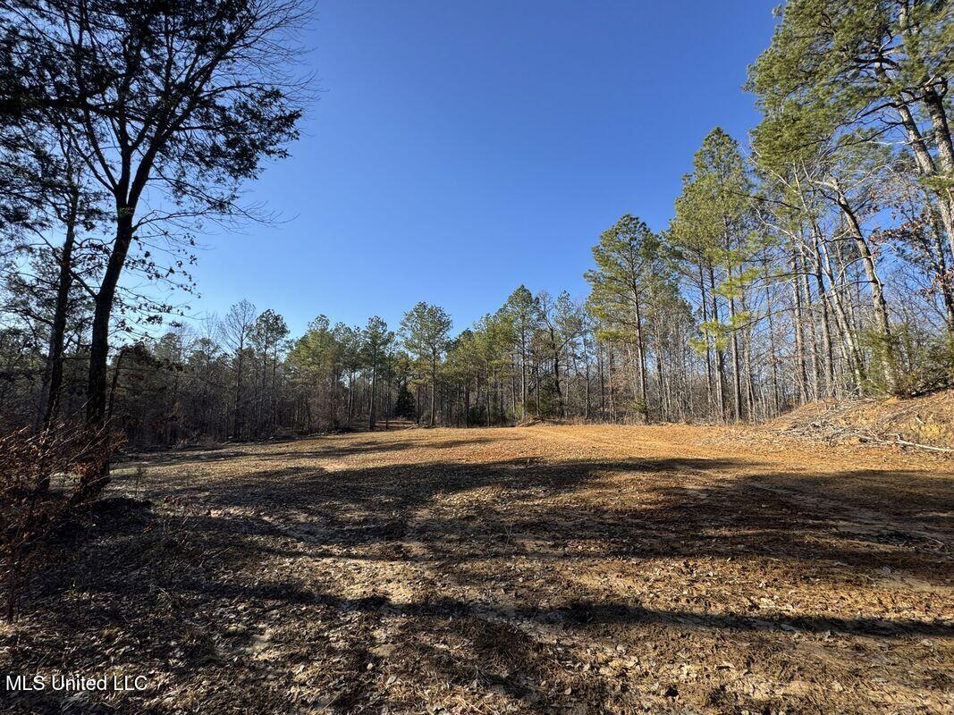 3114 212 Country Road, Water Valley, Mississippi image 49
