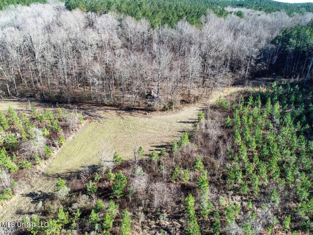 3114 212 Country Road, Water Valley, Mississippi image 28