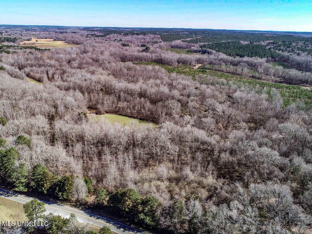 3114 212 Country Road, Water Valley, Mississippi image 17
