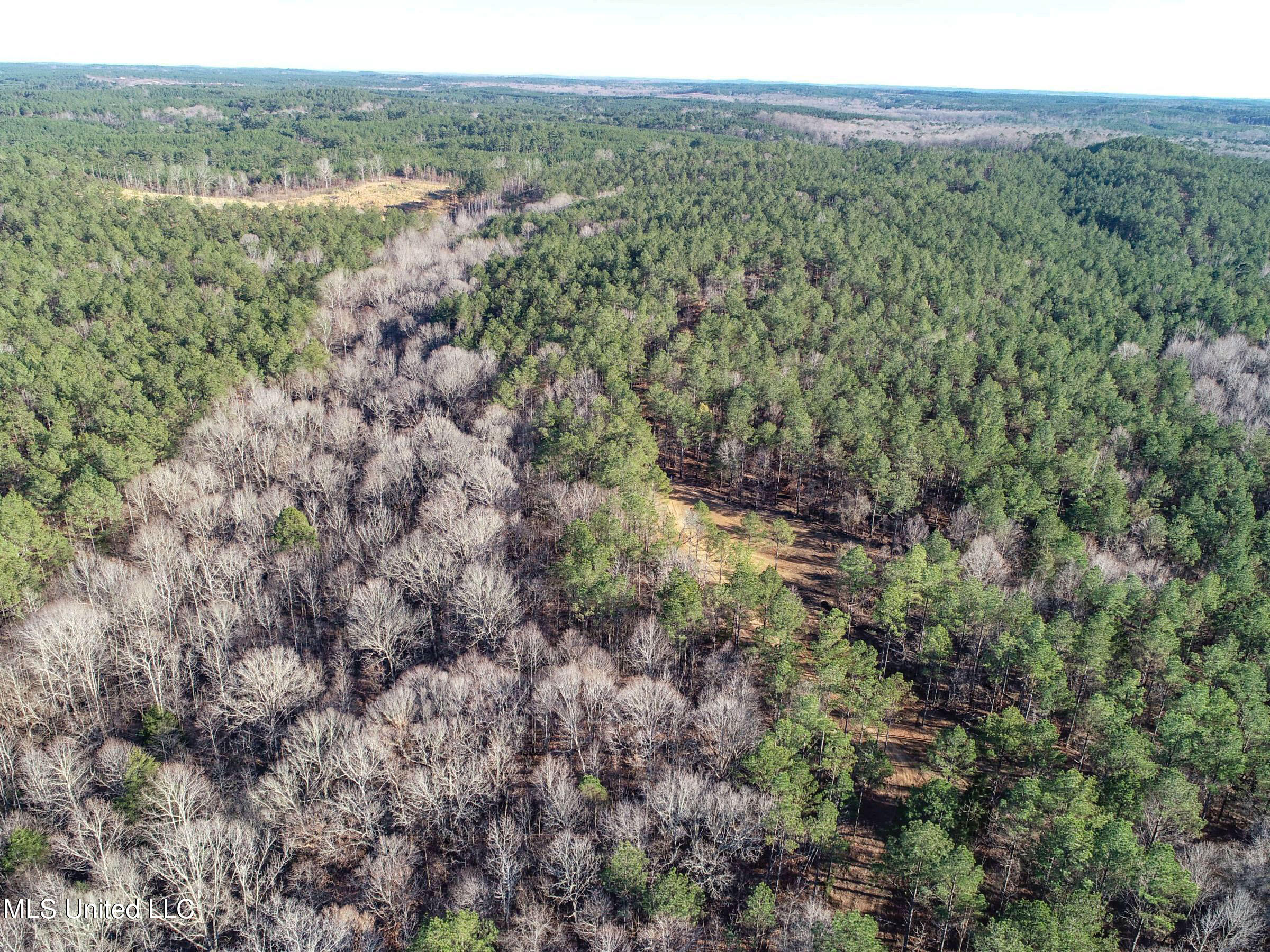 3114 212 Country Road, Water Valley, Mississippi image 11