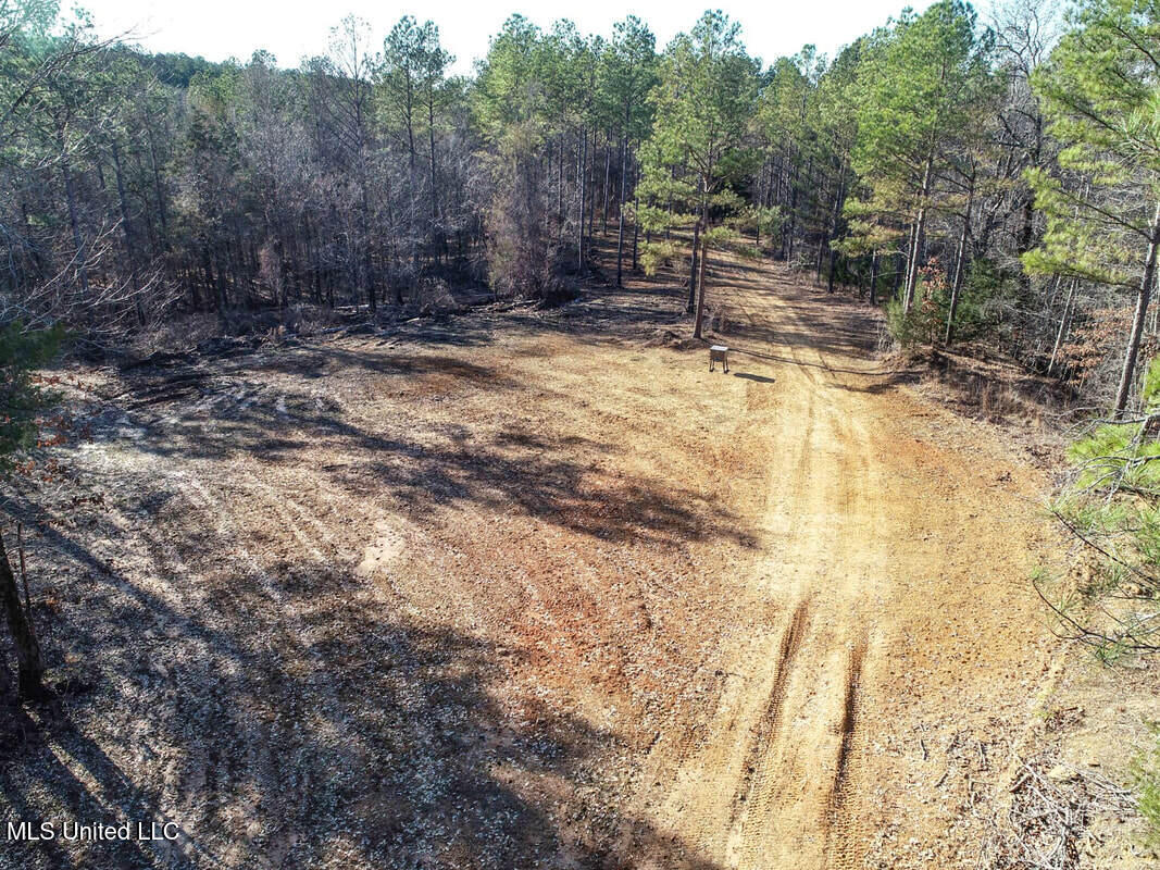 3114 212 Country Road, Water Valley, Mississippi image 12