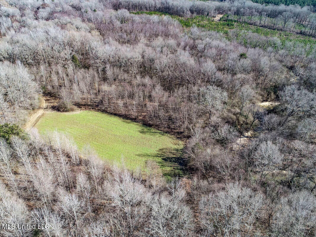 3114 212 Country Road, Water Valley, Mississippi image 18