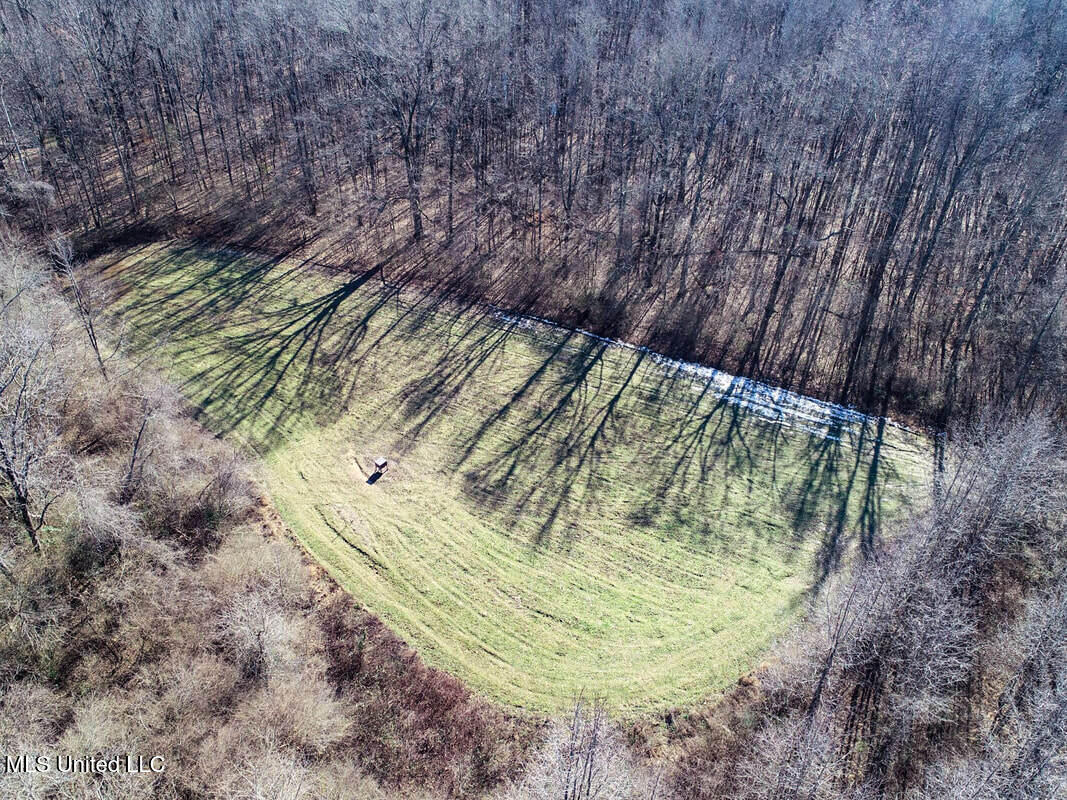 3114 212 Country Road, Water Valley, Mississippi image 8
