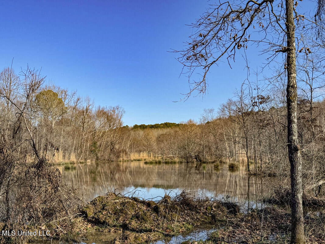 3114 212 Country Road, Water Valley, Mississippi image 42