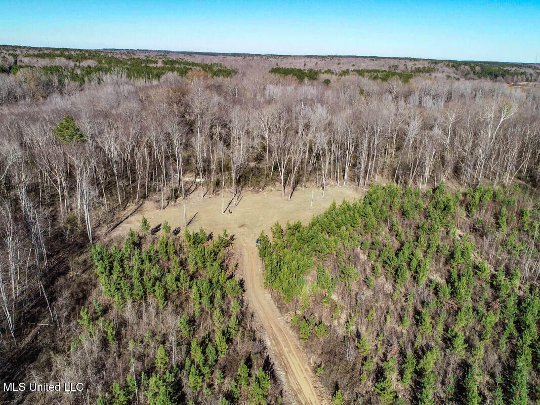 3114 212 Country Road, Water Valley, Mississippi image 23
