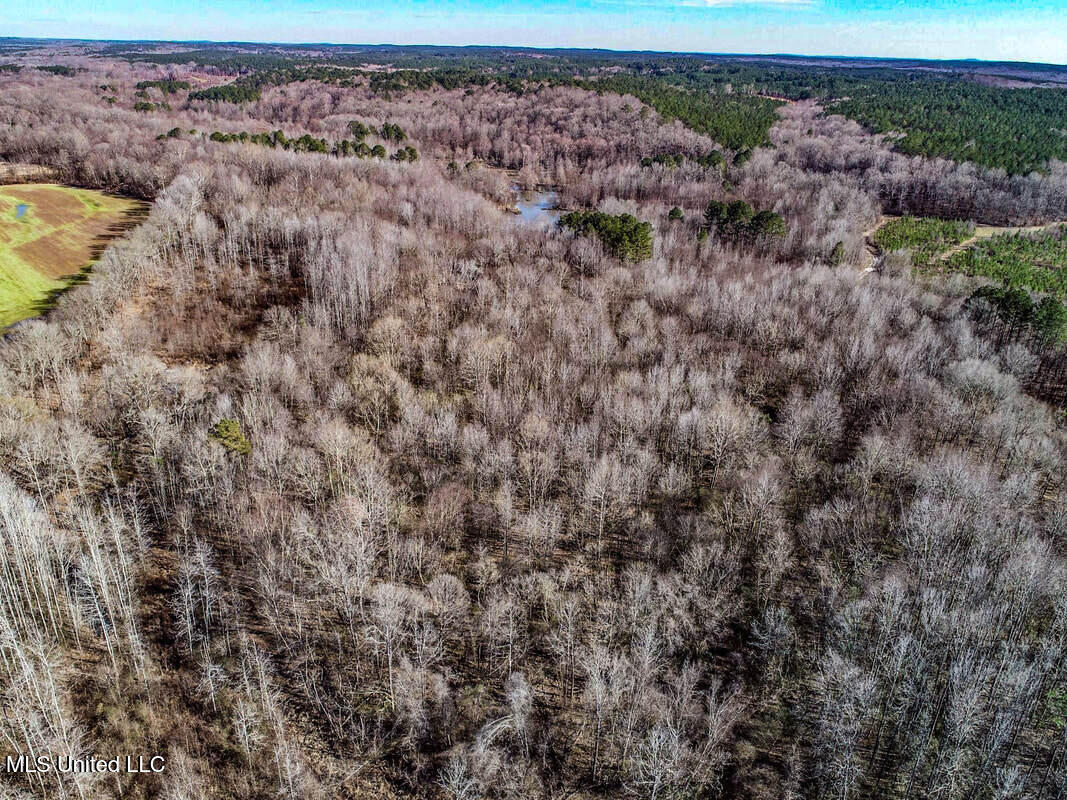 3114 212 Country Road, Water Valley, Mississippi image 25
