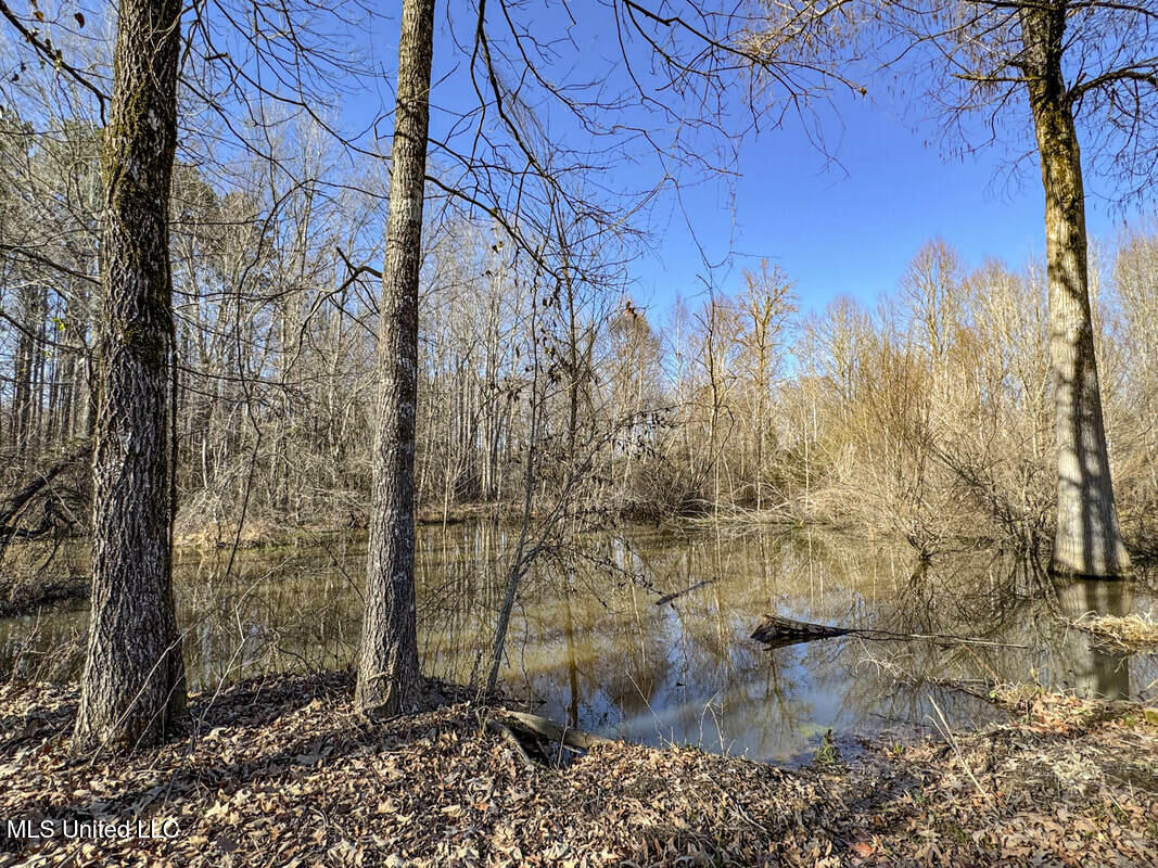 3114 212 Country Road, Water Valley, Mississippi image 45