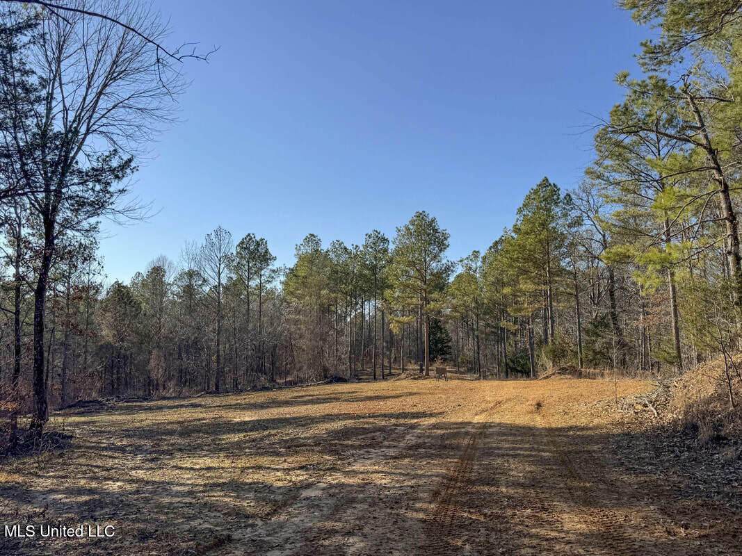 3114 212 Country Road, Water Valley, Mississippi image 47