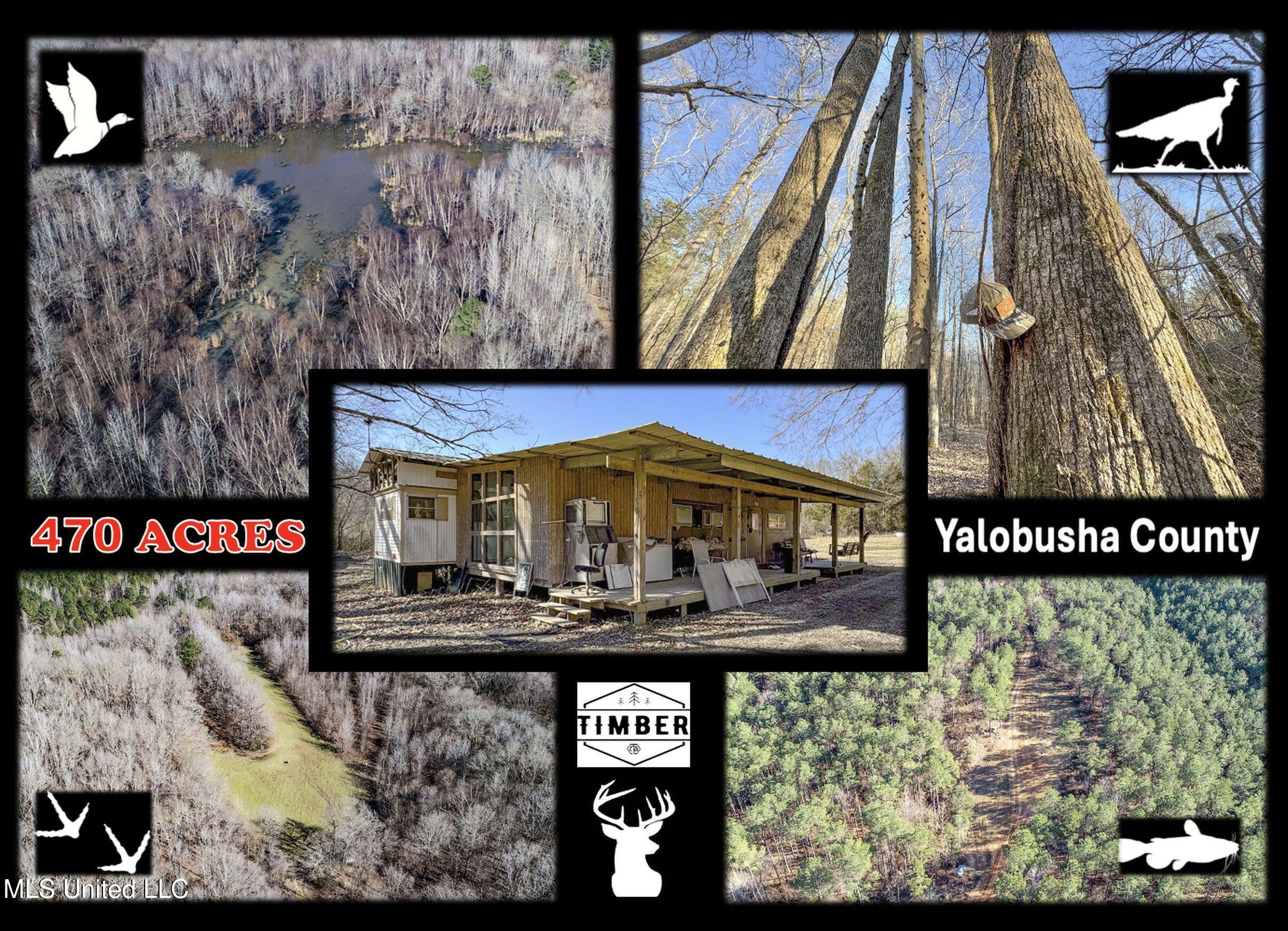 3114 212 Country Road, Water Valley, Mississippi image 2