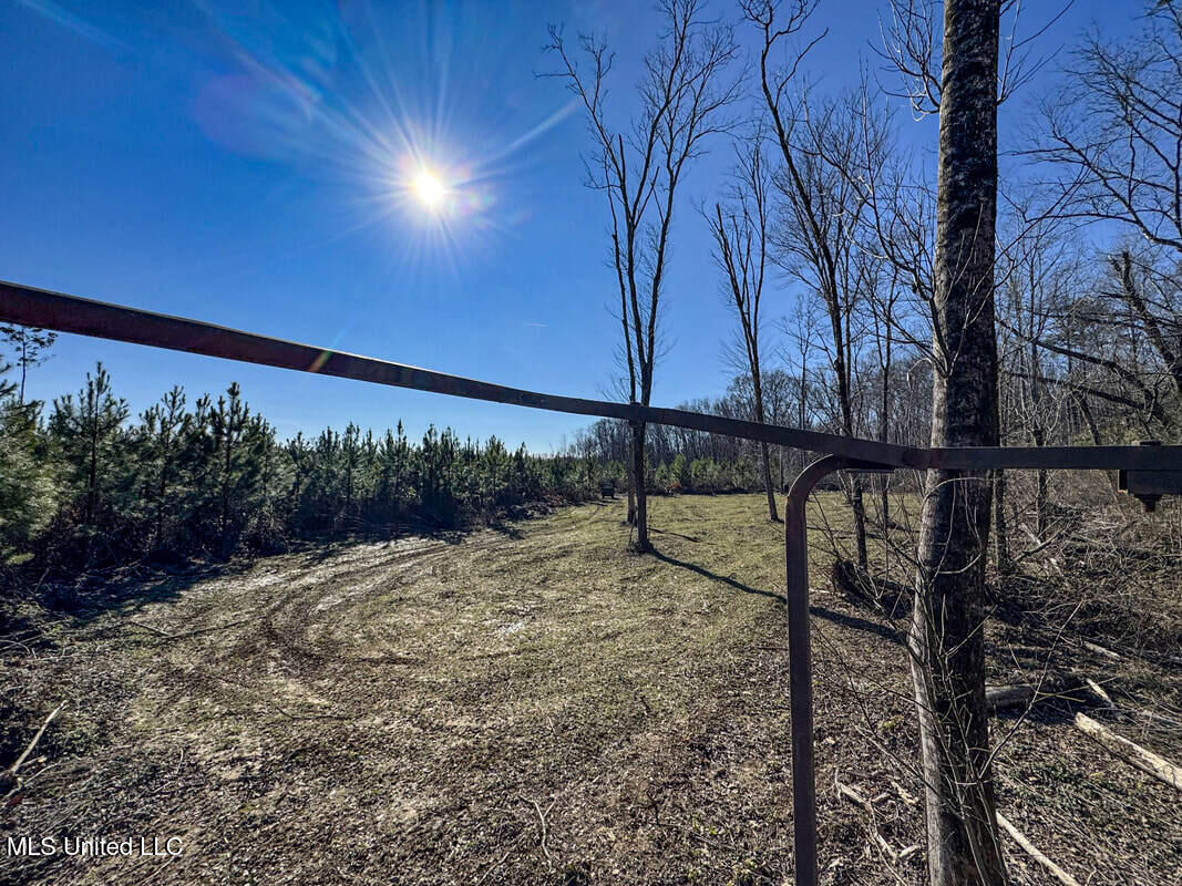 3114 212 Country Road, Water Valley, Mississippi image 39