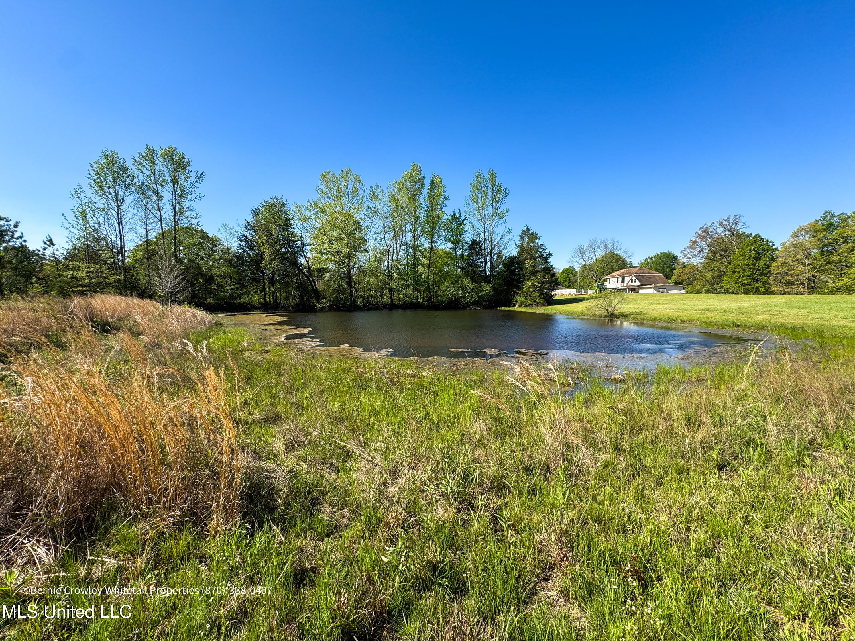 Franklin Road, Batesville, Mississippi image 9