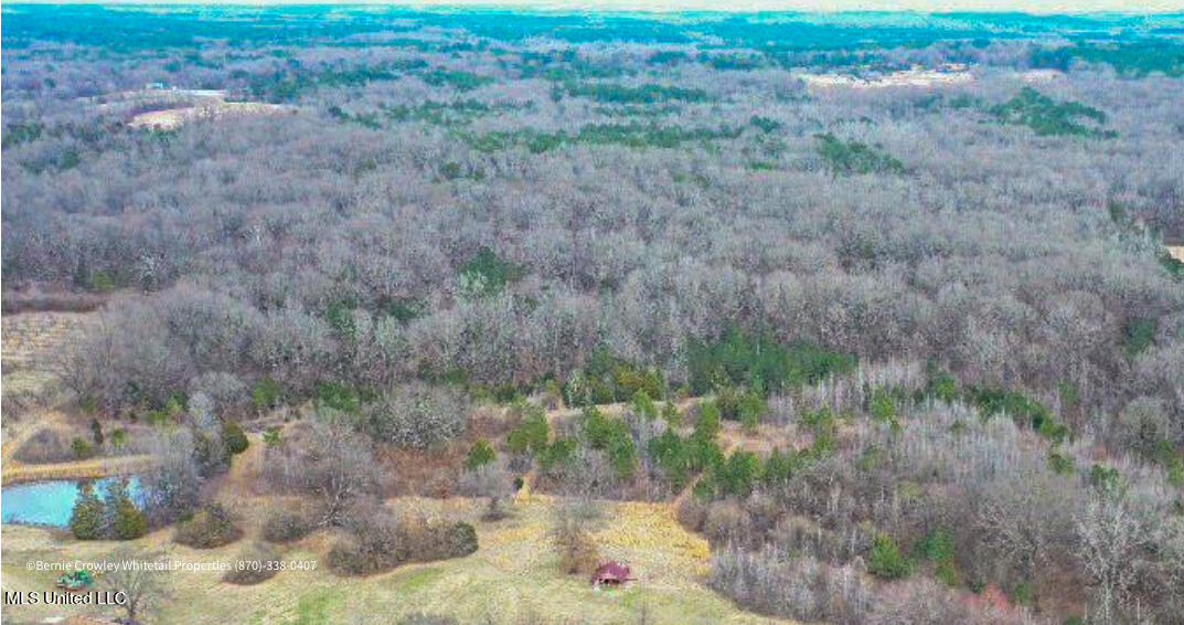 Franklin Road, Batesville, Mississippi image 1