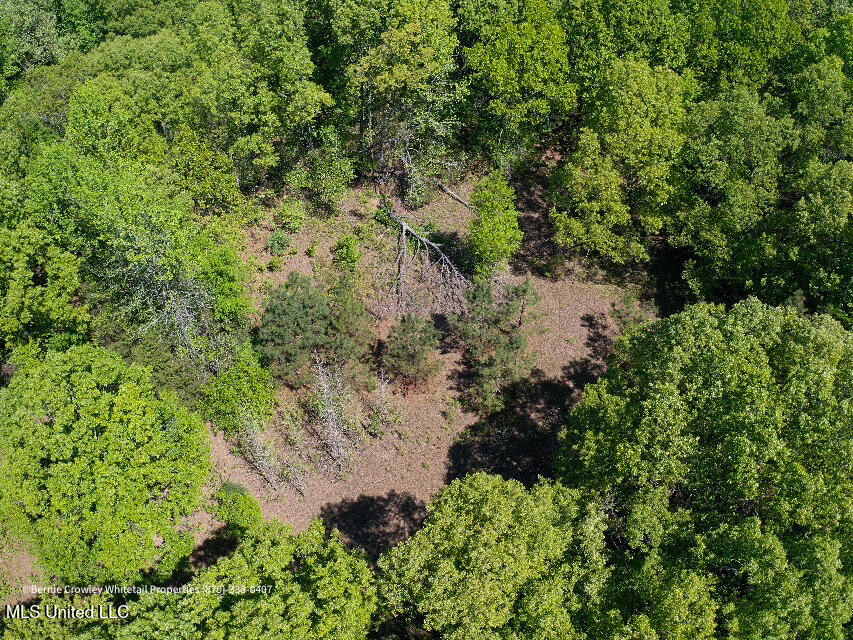 Franklin Road, Batesville, Mississippi image 20