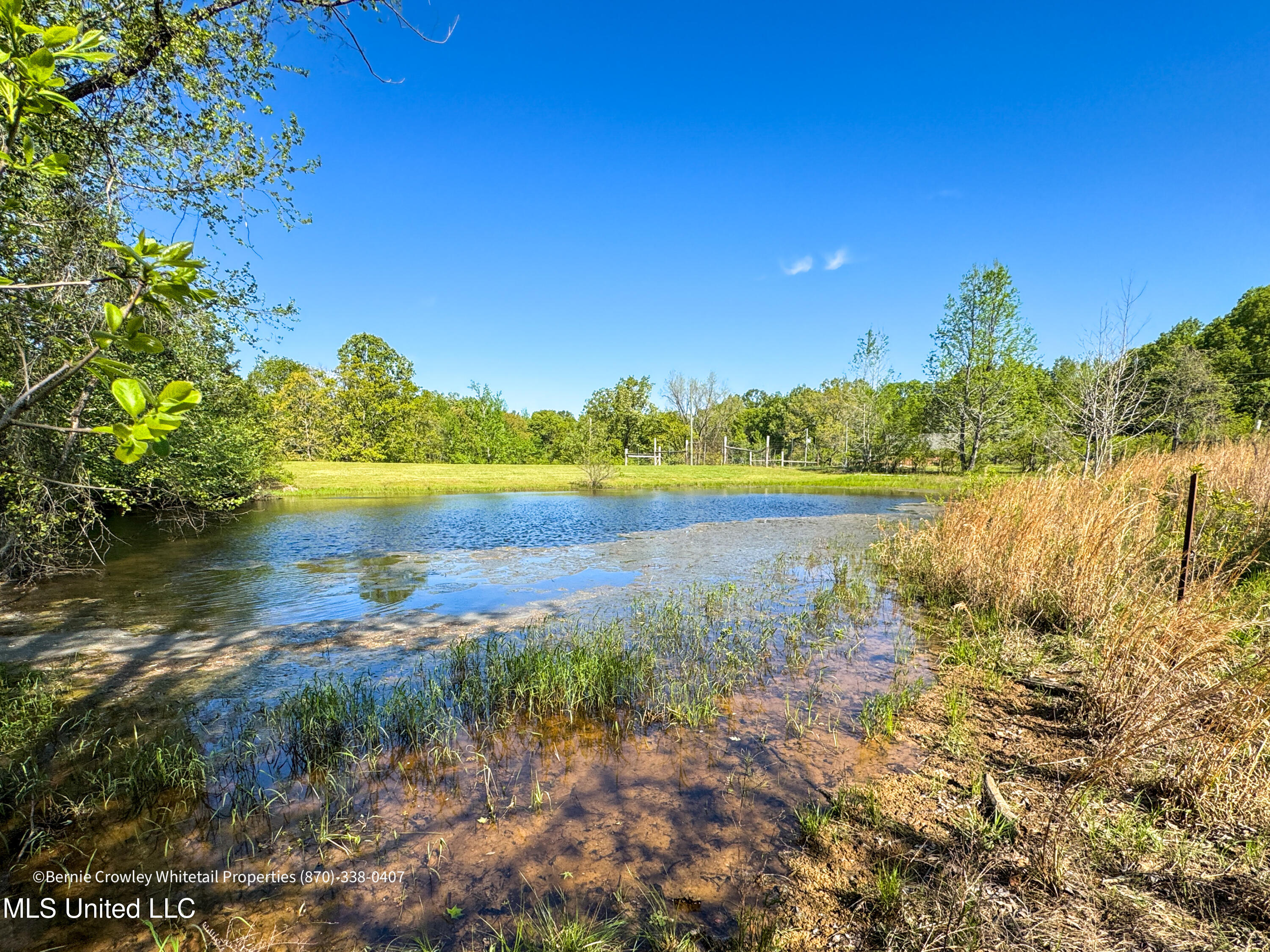 Franklin Road, Batesville, Mississippi image 7