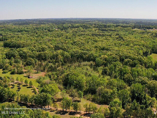 Franklin Road, Batesville, Mississippi image 1