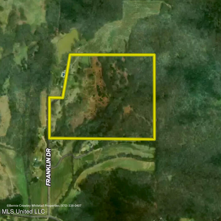 Franklin Road, Batesville, Mississippi image 2