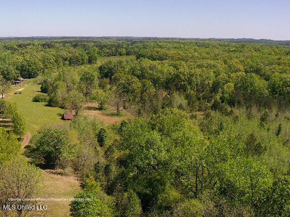 Franklin Road, Batesville, Mississippi image 3