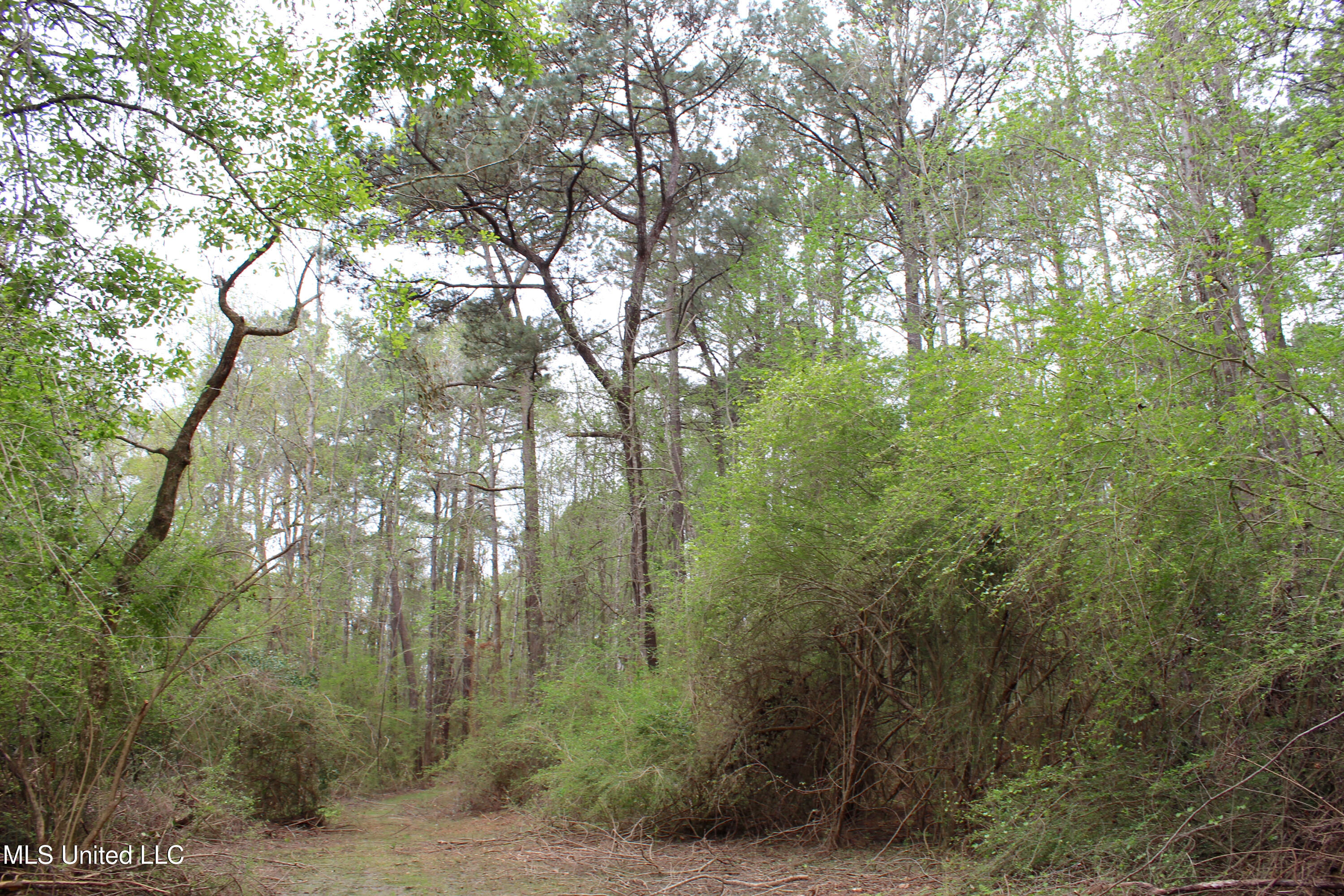 Lot 6 Frank Snell Road, Moss Point, Mississippi image 2