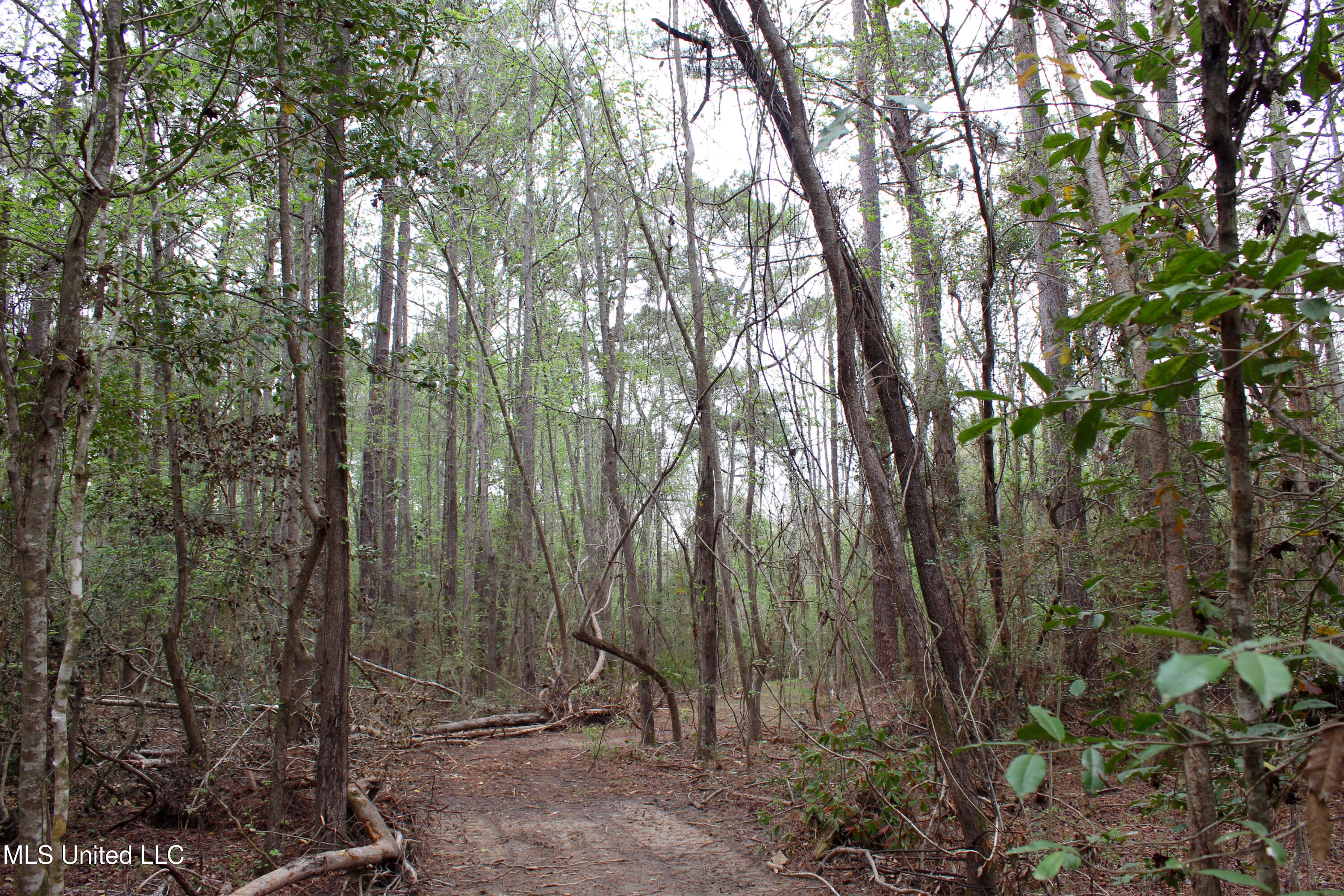 Lot 6 Frank Snell Road, Moss Point, Mississippi image 3