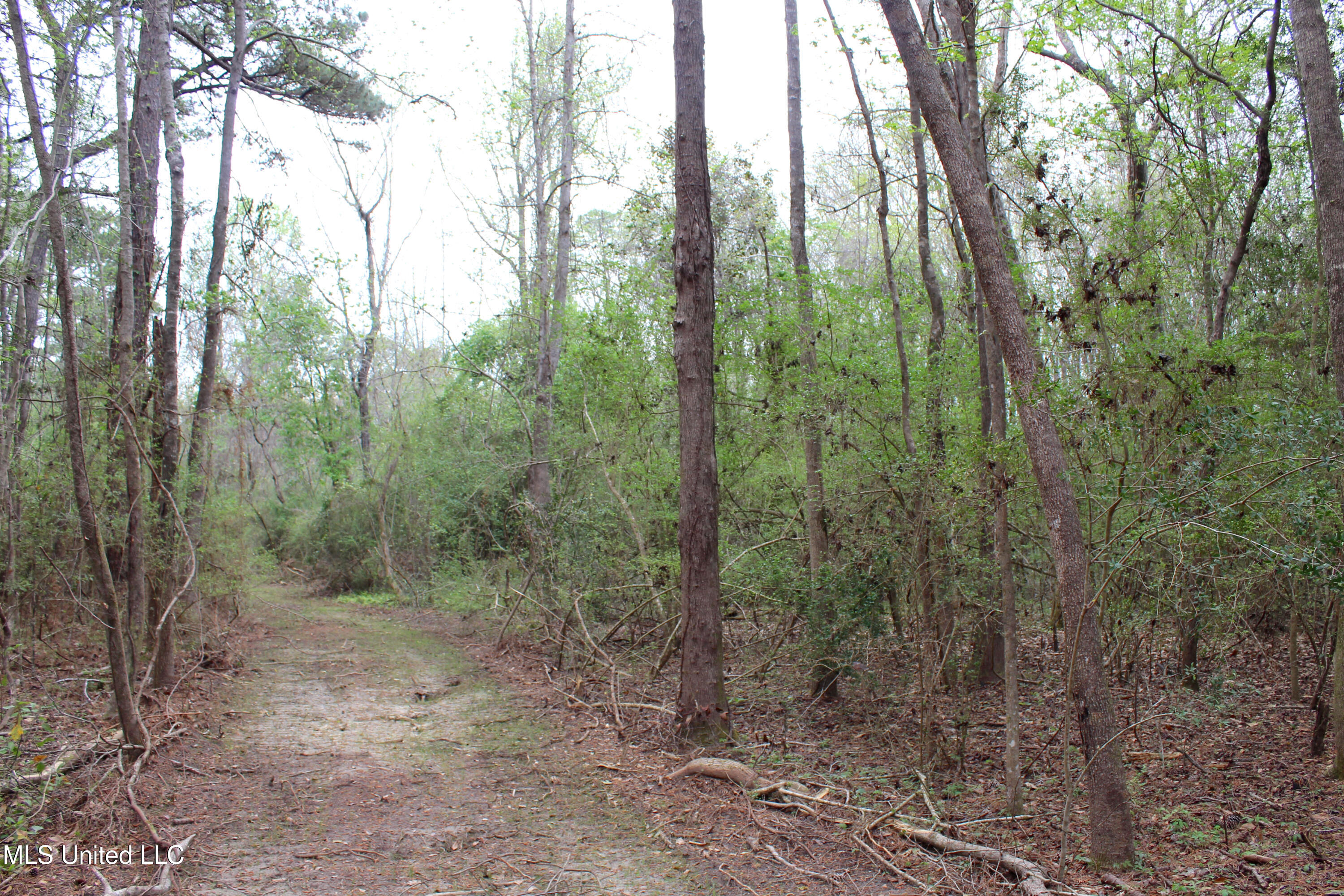Lot 6 Frank Snell Road, Moss Point, Mississippi image 9
