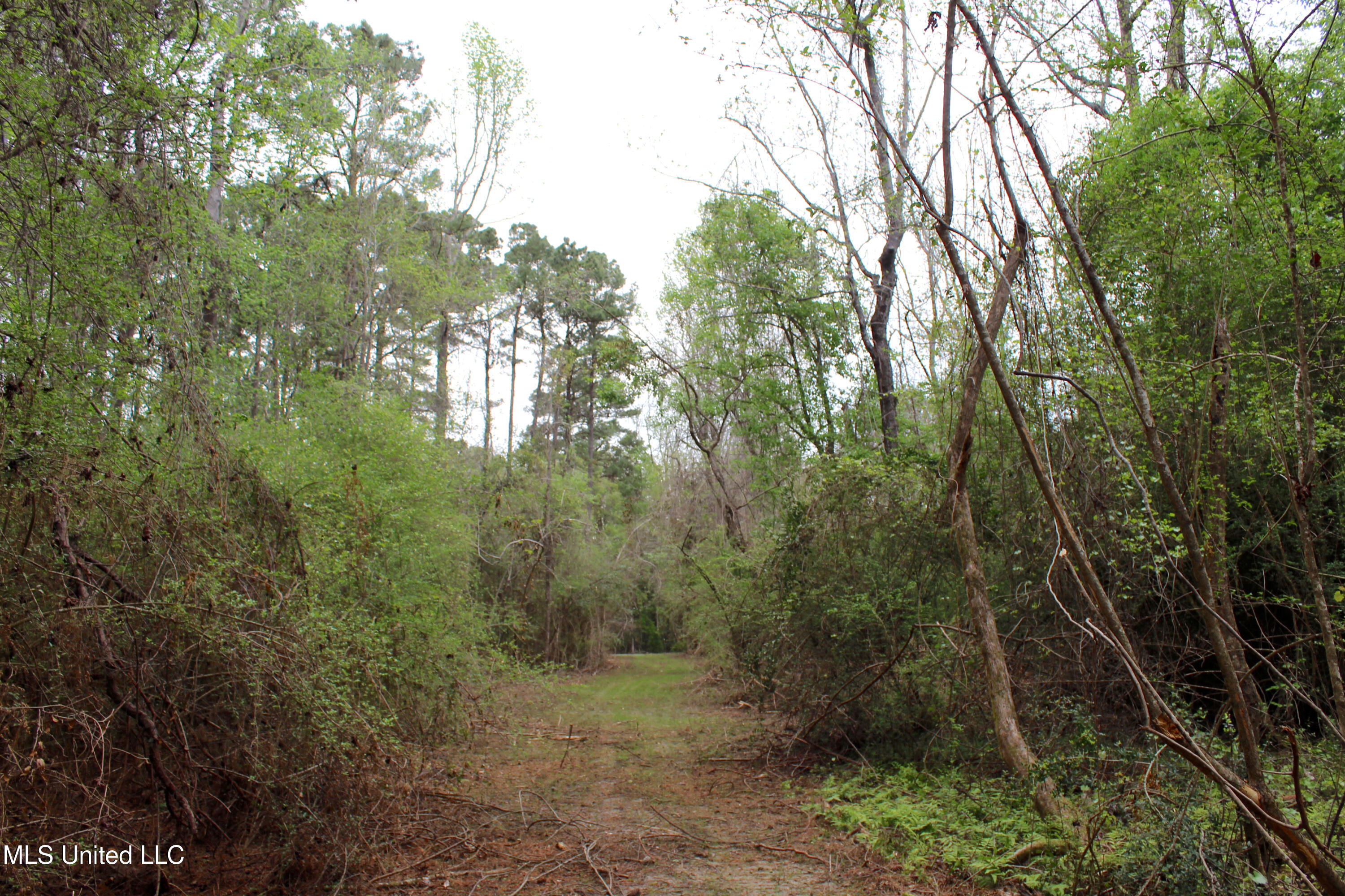 Lot 6 Frank Snell Road, Moss Point, Mississippi image 1