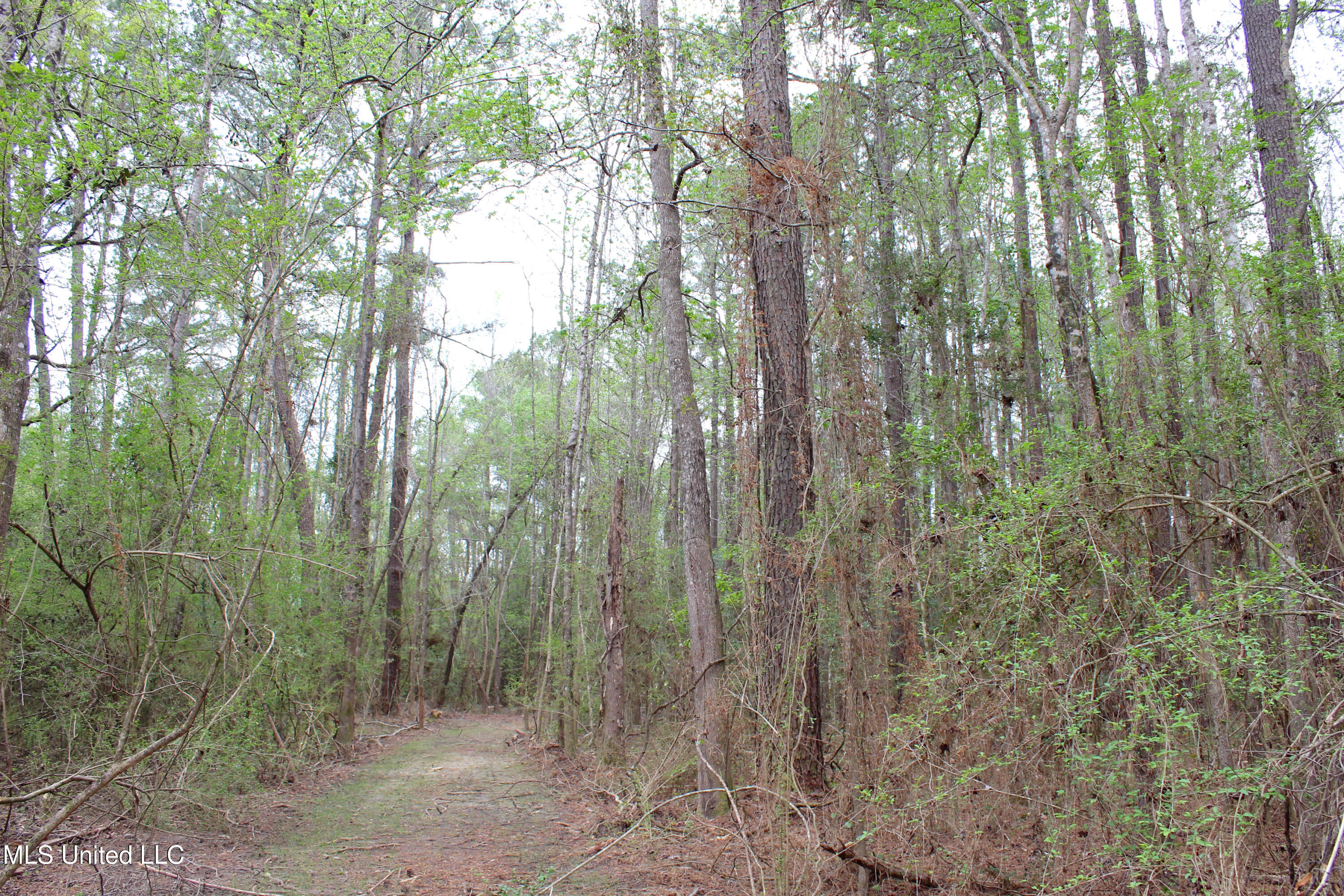Lot 6 Frank Snell Road, Moss Point, Mississippi image 8