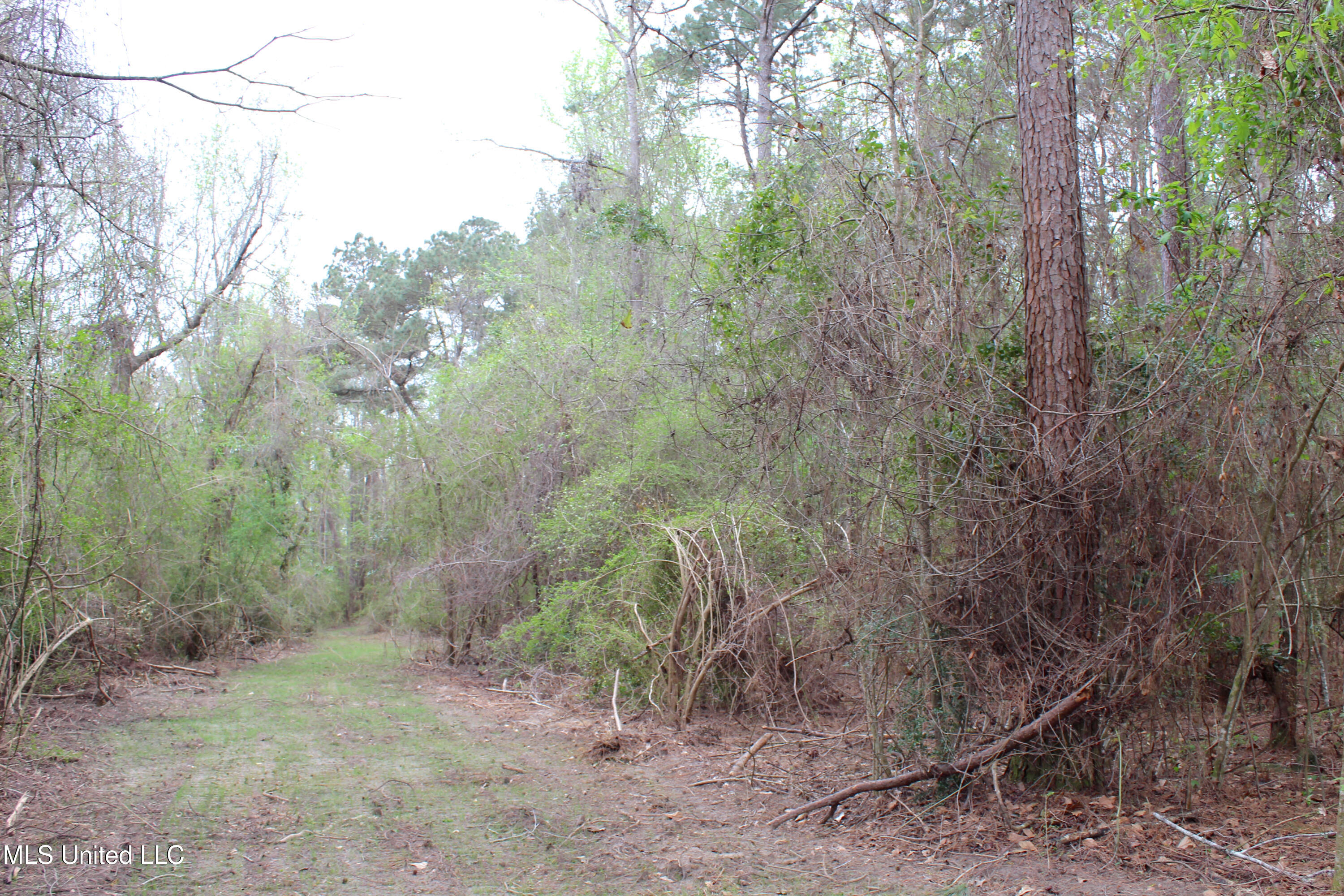 Lot 6 Frank Snell Road, Moss Point, Mississippi image 10