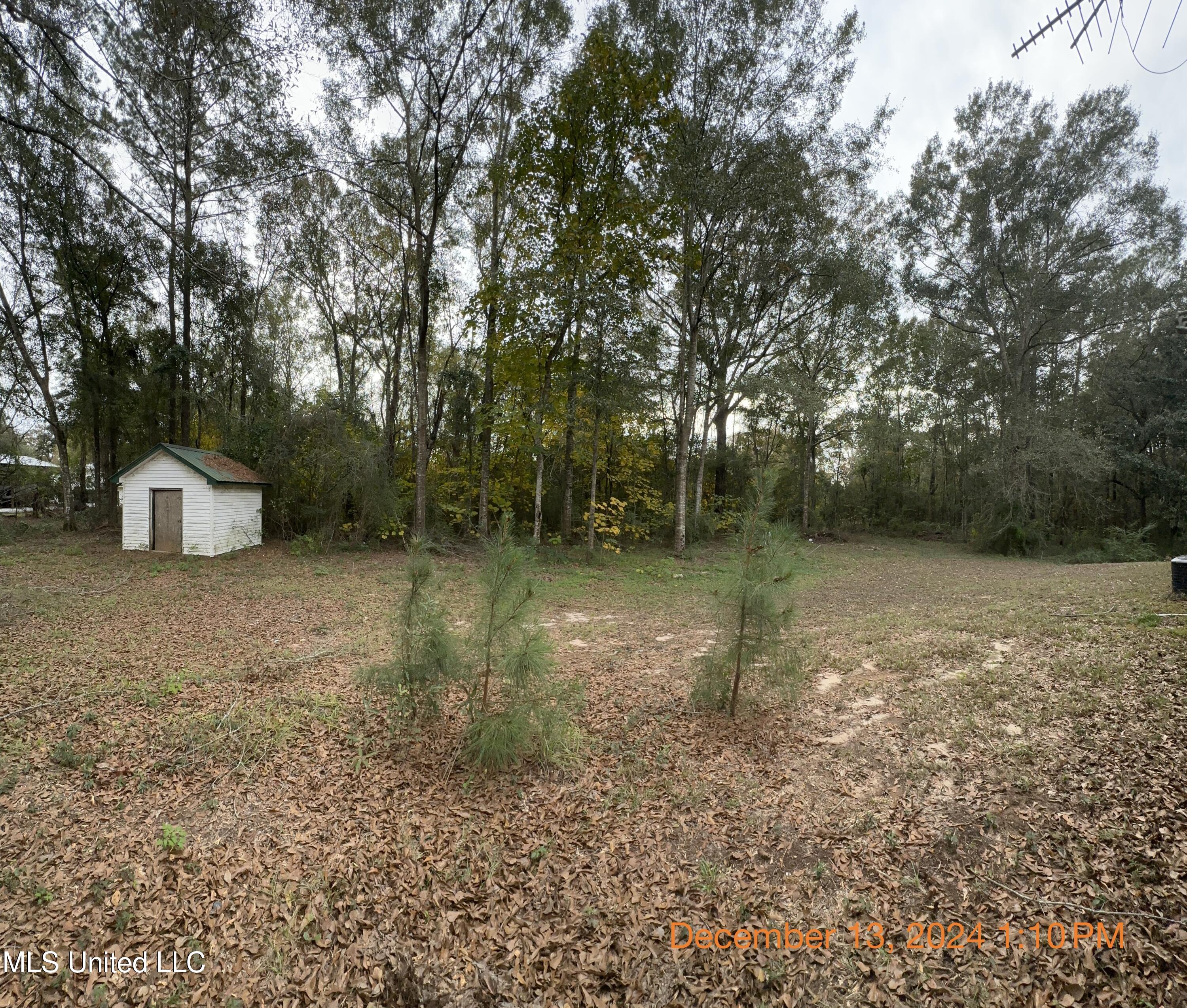 4 Eliza Drive, Carriere, Mississippi image 10