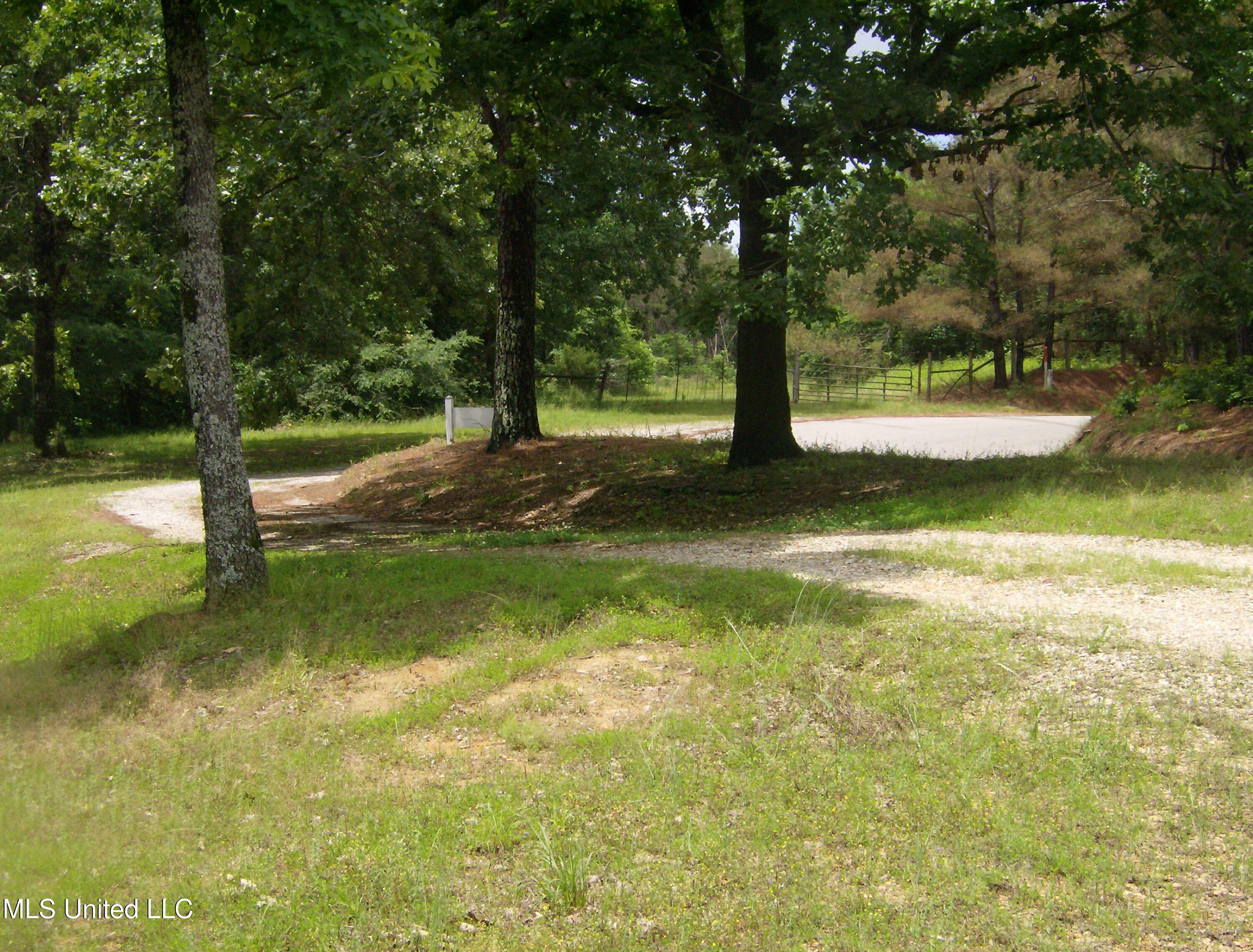 1089 Levi Bell Road, Byhalia, Mississippi image 23