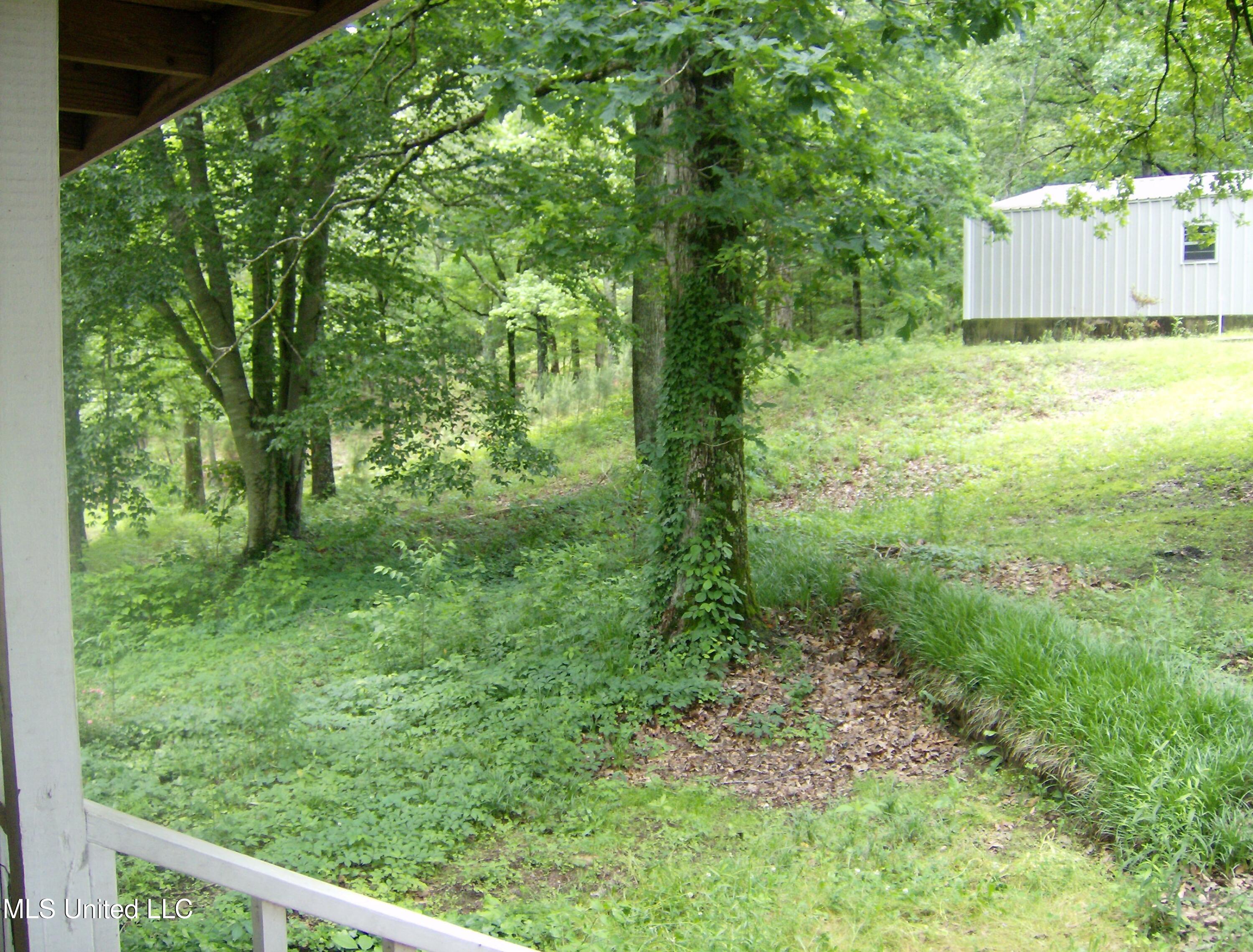 1089 Levi Bell Road, Byhalia, Mississippi image 21
