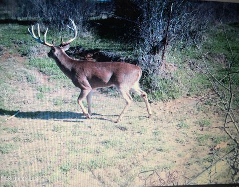 Vacant Land For Sale - 001 Farr Road<br/> Bolton, MS 39041