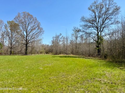 Vacant Land For Sale - Brozville Road<br/> Lexington, MS 39095